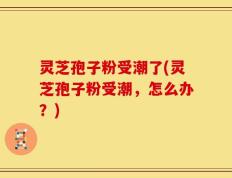 灵芝孢子粉受潮了(灵芝孢子粉受潮，怎么办？)