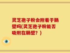 灵芝孢子粉会附着于肠壁吗(灵芝孢子粉能否吸附在肠壁？)