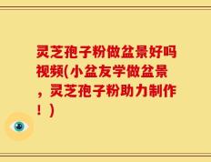 灵芝孢子粉做盆景好吗视频(小盆友学做盆景，灵芝孢子粉助力制作！)