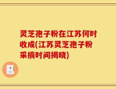灵芝孢子粉在江苏何时收成(江苏灵芝孢子粉采摘时间揭晓)