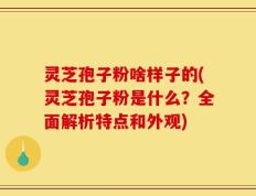 灵芝孢子粉啥样子的(灵芝孢子粉是什么？全面解析特点和外观)