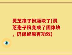 灵芝孢子粉凝块了(灵芝孢子粉变成了固体块，仍保留原有功效)