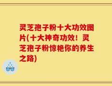 灵芝孢子粉十大功效图片(十大神奇功效！灵芝孢子粉惊艳你的养生之路)