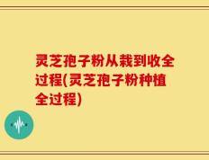 灵芝孢子粉从栽到收全过程(灵芝孢子粉种植全过程)