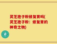 灵芝孢子粉修复胃吗(灵芝孢子粉：修复胃的神奇之物)