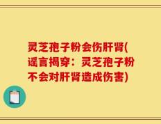 灵芝孢子粉会伤肝肾(谣言揭穿：灵芝孢子粉不会对肝肾造成伤害)
