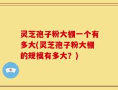 灵芝孢子粉大棚一个有多大(灵芝孢子粉大棚的规模有多大？)