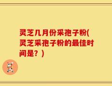 灵芝几月份采孢子粉(灵芝采孢子粉的最佳时间是？)
