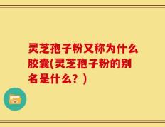 灵芝孢子粉又称为什么胶囊(灵芝孢子粉的别名是什么？)