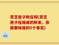 灵芝孢子粉压榨(灵芝孢子压缩成的粉末，你需要知道的5个事实)