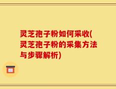 灵芝孢子粉如何采收(灵芝孢子粉的采集方法与步骤解析)