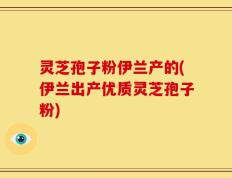 灵芝孢子粉伊兰产的(伊兰出产优质灵芝孢子粉)