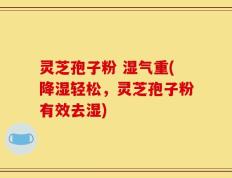 灵芝孢子粉 湿气重(降湿轻松，灵芝孢子粉有效去湿)