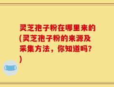 灵芝孢子粉在哪里来的(灵芝孢子粉的来源及采集方法，你知道吗？)