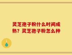 灵芝孢子粉什么时间成熟？灵芝孢子粉怎么种