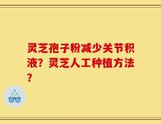 灵芝孢子粉减少关节积液？灵芝人工种植方法？