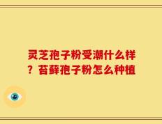 灵芝孢子粉受潮什么样？苔藓孢子粉怎么种植