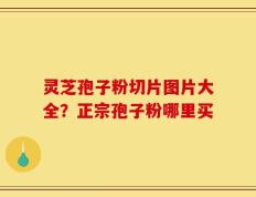 灵芝孢子粉切片图片大全？正宗孢子粉哪里买