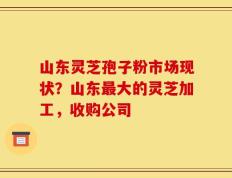 山东灵芝孢子粉市场现状？山东最大的灵芝加工，收购公司