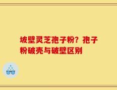 坡壁灵芝孢子粉？孢子粉破壳与破壁区别