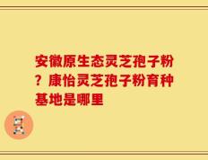 安徽原生态灵芝孢子粉？康怡灵芝孢子粉育种基地是哪里