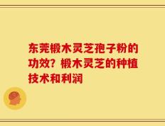 东莞椴木灵芝孢子粉的功效？椴木灵芝的种植技术和利润