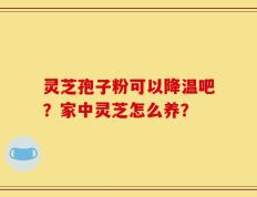 灵芝孢子粉可以降温吧？家中灵芝怎么养？