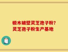 椴木破壁灵芝孢子粉？灵芝孢子粉生产基地