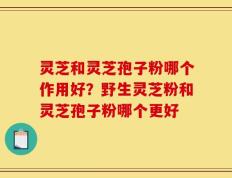 灵芝和灵芝孢子粉哪个作用好？野生灵芝粉和灵芝孢子粉哪个更好