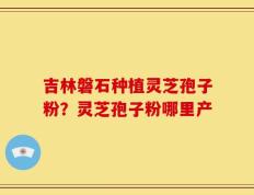 吉林磐石种植灵芝孢子粉？灵芝孢子粉哪里产