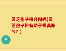 灵芝孢子粉升阳吗(灵芝孢子粉有助于提高阳气？)