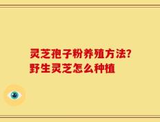 灵芝孢子粉养殖方法？野生灵芝怎么种植