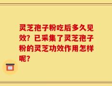 灵芝孢子粉吃后多久见效？已采集了灵芝孢子粉的灵芝功效作用怎样呢？