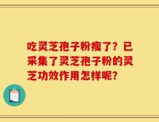 吃灵芝孢子粉瘦了？已采集了灵芝孢子粉的灵芝功效作用怎样呢？