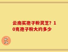 云南买孢子粉灵芝？10克孢子粉大约多少