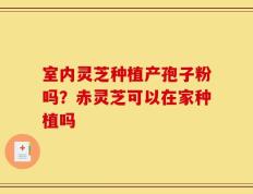 室内灵芝种植产孢子粉吗？赤灵芝可以在家种植吗