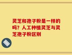 灵芝和孢子粉是一样的吗？人工种植灵芝与灵芝孢子粉区别