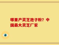 哪里产灵芝孢子粉？中国最大灵芝厂家