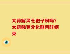 大蒜解灵芝孢子粉吗？大蒜鳞芽分化期何时结束