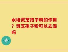 水培灵芝孢子粉的作用？灵芝孢子粉可以去湿吗
