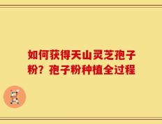 如何获得天山灵芝孢子粉？孢子粉种植全过程