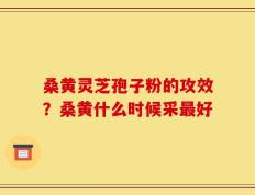 桑黄灵芝孢子粉的攻效？桑黄什么时候采最好