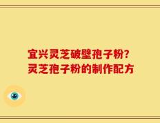 宜兴灵芝破壁孢子粉？灵芝孢子粉的制作配方