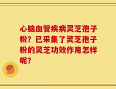 心脑血管疾病灵芝孢子粉？已采集了灵芝孢子粉的灵芝功效作用怎样呢？