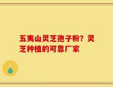 五夷山灵芝孢子粉？灵芝种植的可靠厂家