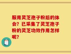 服用灵芝孢子粉后的体会？已采集了灵芝孢子粉的灵芝功效作用怎样呢？