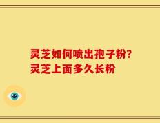 灵芝如何喷出孢子粉？灵芝上面多久长粉