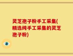 灵芝孢子粉手工采集(精选纯手工采集的灵芝孢子粉)
