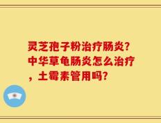 灵芝孢子粉治疗肠炎？中华草龟肠炎怎么治疗，土霉素管用吗？