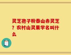 灵芝孢子粉泰山赤灵芝？农村山灵果学名叫什么